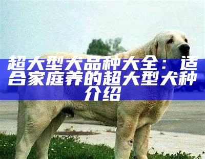 超大型犬品种大全：适合家庭养的超大型犬种介绍