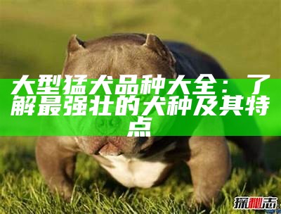 大型猛犬品种大全：了解最强壮的犬种及其特点