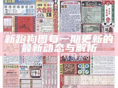 《2020年高清跑狗图新版4期：全新解读与分析》