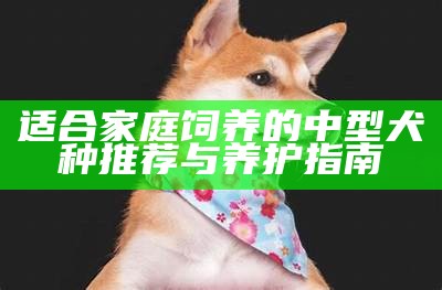 适合家庭饲养的中型犬种推荐与养护指南